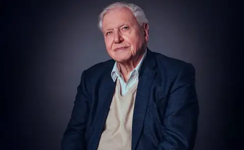 Sir David Attenborough Credits Cutting Out ‘Almost All Red Meat’ as the Key to Reaching 100