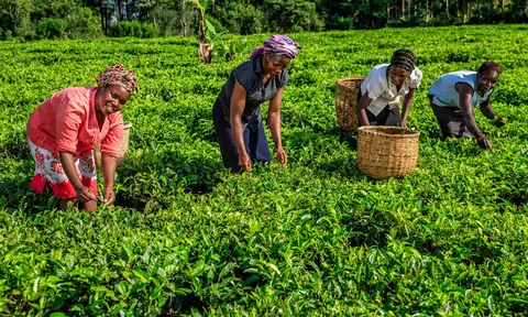 This Is What Modern-Day Farmers Are Doing About Sustainable Food Production