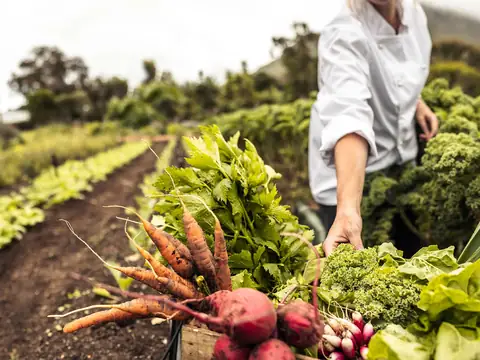 Ancient Farming Techniques Are Gradually Making A Comeback