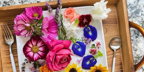 The Top Reason to Use Edible Flowers in Moderation
