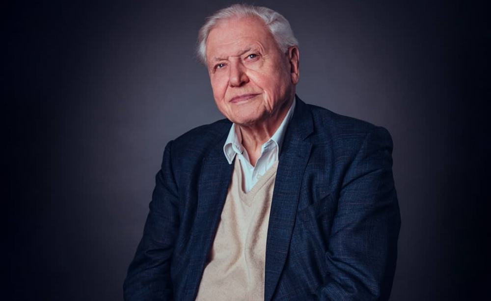 Sir David Attenborough Credits Cutting Out ‘Almost All Red Meat’ as the Key to Reaching 100